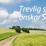 sommar